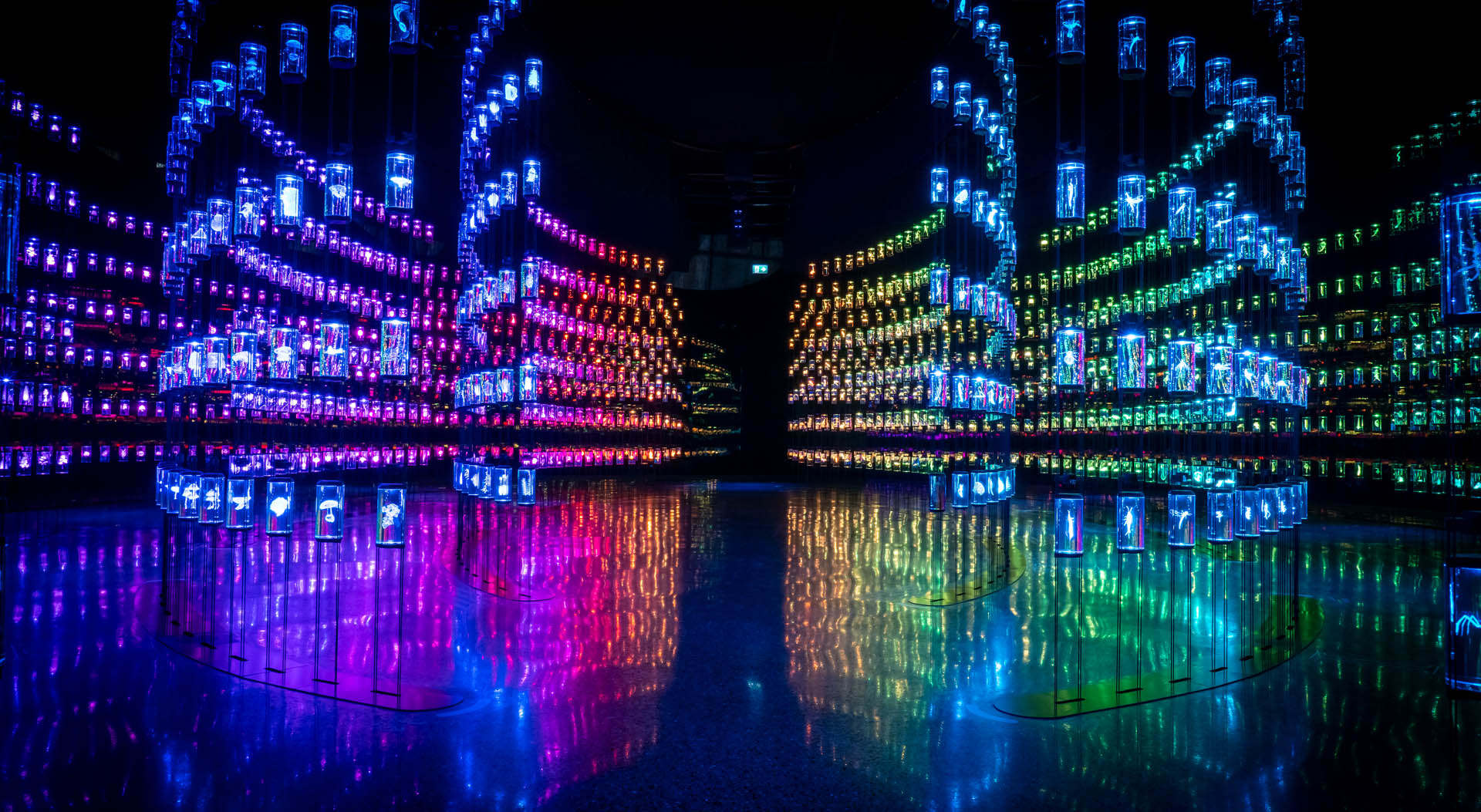 Museum of the Future