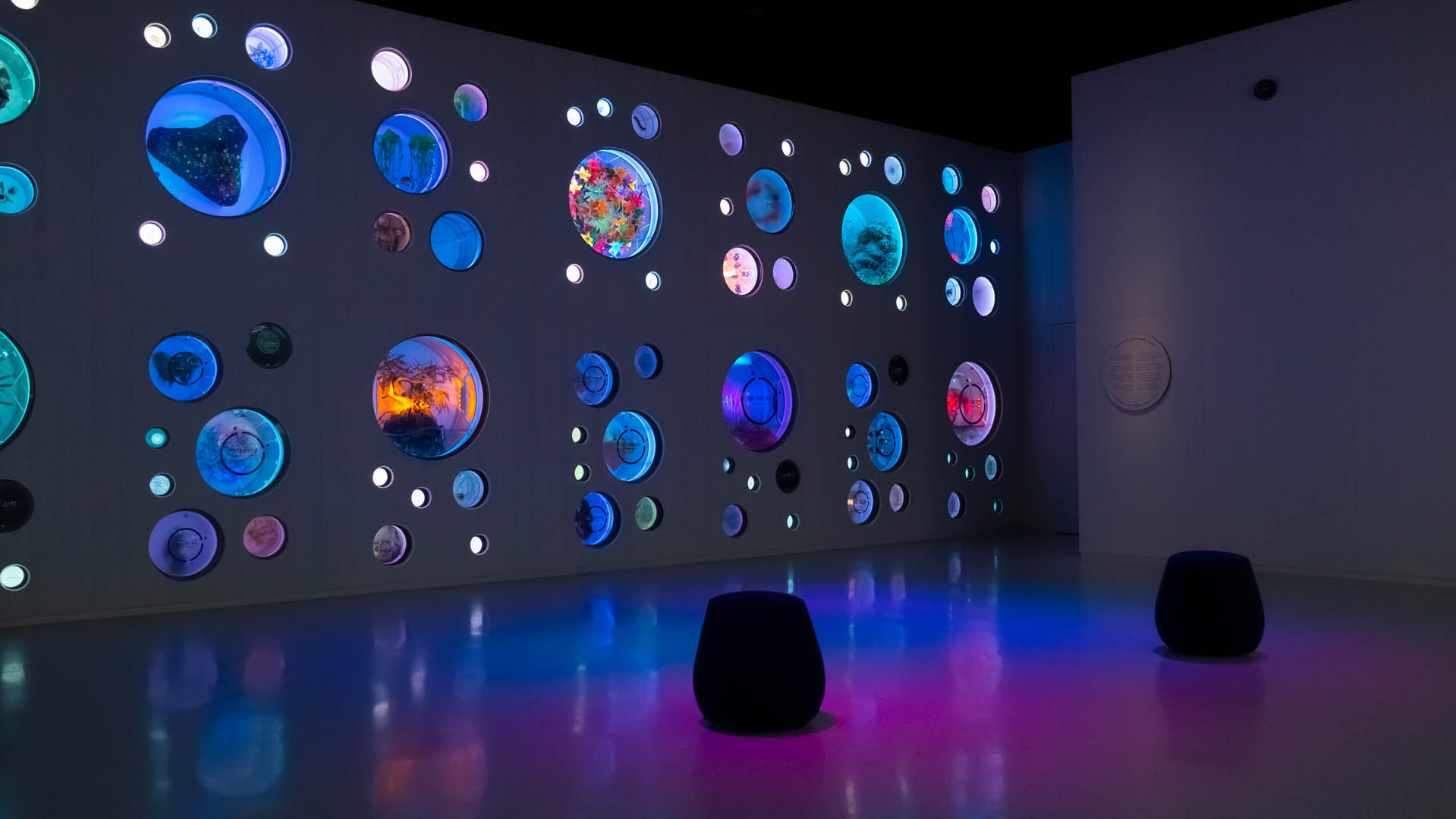 Museum of the Future