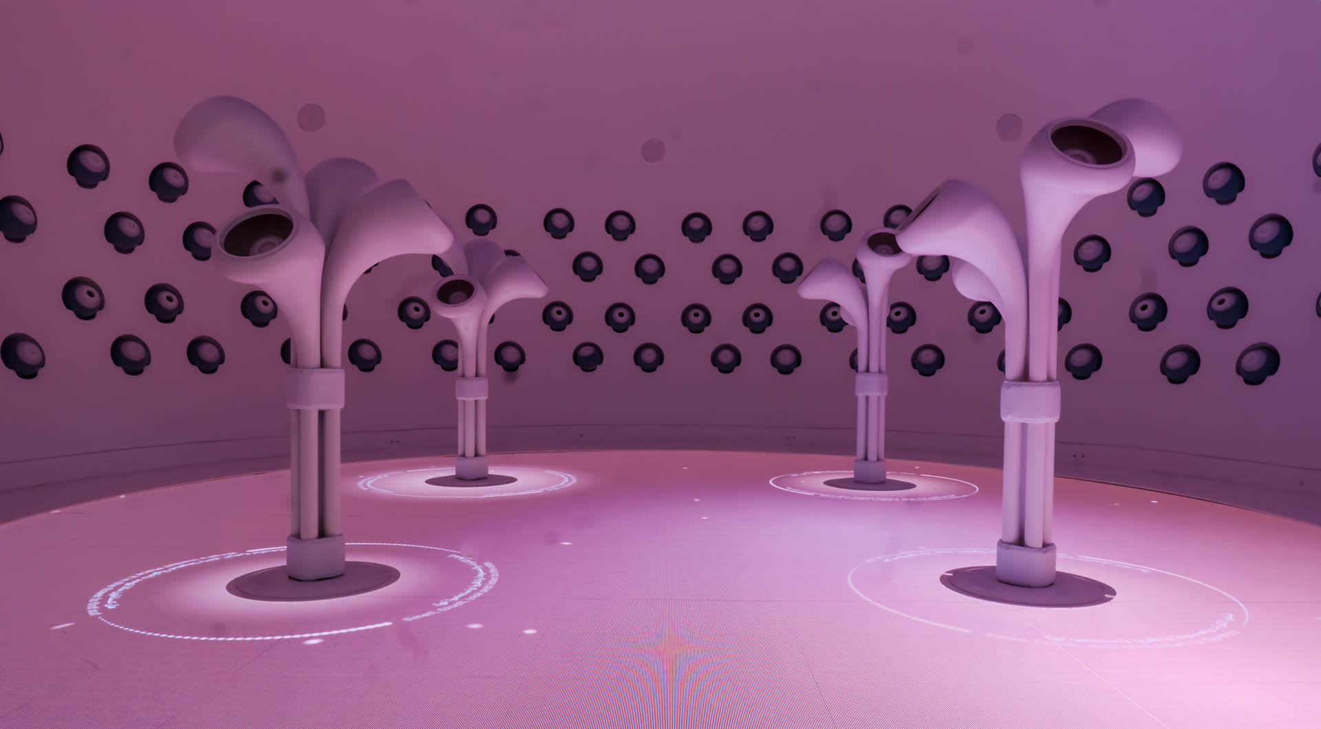 Museum of the Future